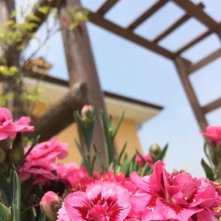 San Floreano Agroturismo Buia