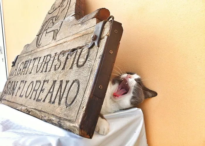 Agriturismo San Floreano