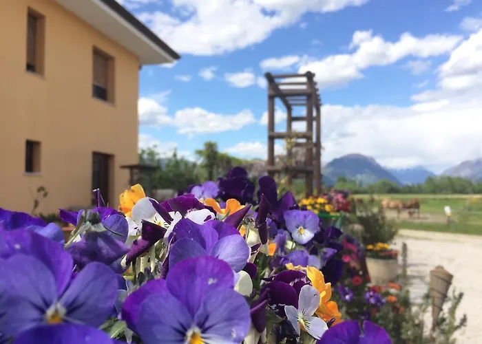 Κατάλυμα σε φάρμα Agriturismo San Floreano Buia