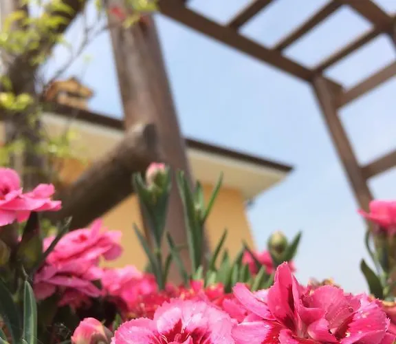 Agriturismo San Floreano Κατάλυμα σε φάρμα Buia