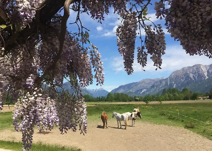 Agriturismo San Floreano
